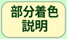 部分着色